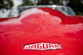 Eagle Jaguar Type E Speedster Capot AR 