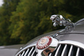 Jaguar MkII 3.8 anthracite logos capot 2
