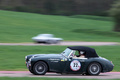 Austin Healey vert filé