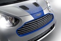 Aston Martin Cygnet & Colette - capot