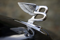 Bentley Brooklands anthracite logo capot