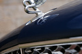 Bentley Mulsanne bleu logo capot debout