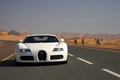 Bugatti Veyron blanc face avant 2