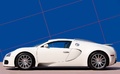 Bugatti Veyron blanc profil