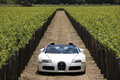 Bugatti Veyron Grand Sport blanc face avant 2