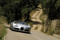 Bugatti Veyron Grand Sport gris face avant penché
