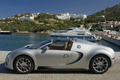 Bugatti Veyron Grand Sport gris profil 2