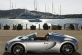 Bugatti Veyron Grand Sport gris profil 3