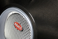 Bugatti Veyron Grey Carbon - détail, calandre