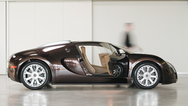 Bugatti Veyron HERMES profil