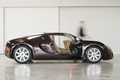 Bugatti Veyron HERMES profil