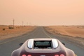 Bugatti Veyron marron/bordeaux face arrière debout