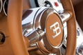 Bugatti Veyron noir volant debout 2