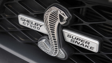  Shelby GT500 Super Snake 2011 - logo