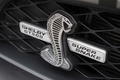  Shelby GT500 Super Snake 2011 - logo