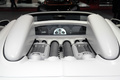 Bugatti Veyron Grand Sport blanc mate/noir moteur