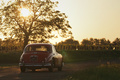 Jaguar MK2, rouge, action, coucher de soleil