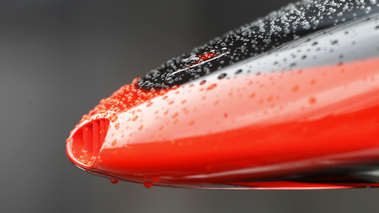 Spa 2010 nez McLaren