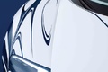Bugatti Veyron Grand Sport L'Or Blanc détails peinture debout 2