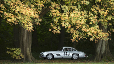 Chantilly Arts & Elégance 2016 - Mercedes 300 SL gris filé