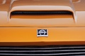 Coupes de Printemps 2012 - Iso Rivolta orange logo capot