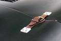 Coupes de Printemps 2012 - Jaguar Type C vert lanière cuir
