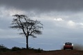 Bjorn Waldegaard, Porsche 911, rouge, action face pdc