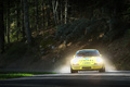 Tour Auto 2015 - Porsche 911 Carrera 2.7 RS jaune face avant