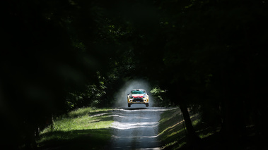 Citroën DS3 WRC blanc face avant