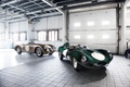 Jaguar Type D vert & Type C beige