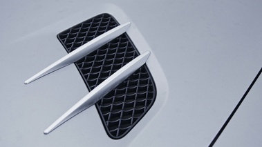 Mercedes SLS AMG Roadster anthracite satiné/mate aération capot