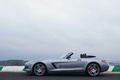 Mercedes SLS AMG Roadster anthracite satiné/mate profil