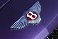 Bentley Continental GTC V8 violet logo capot debout