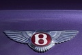 Bentley Continental GTC V8 violet logo coffre