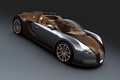 Bugatti Veyron Grand Sport carbone bronze 3/4 avant droit penché