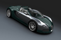 Bugatti Veyron Grand Sport carbone vert/chrome 3/4 avant droit penché 2