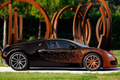 Bugatti Veyron Grand Sport Venet - profil droit