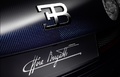 Bugatti Veyron Grand Sport Vitesse Ettore Bugatti - détail, carbone 