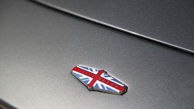 David Brown Speedback GT anthracite logo capot