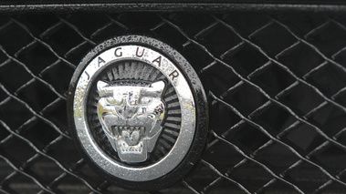 Jaguar XKR-S noir logo calandre