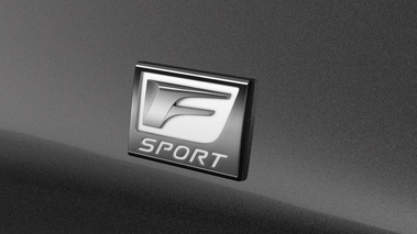 Lexus LS 2013 - F-Sport grise - détail, logo F-Sport