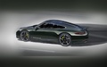 Porsche 911 Club Coupé - Bewster Green - profil gauche, sketch