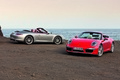 Porsche 991 Cabrio - Rouge & grise