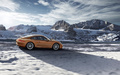 Porsche 991 Carrera 4 marron profil travelling penché 2