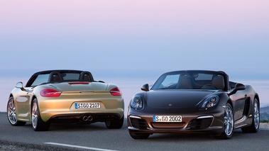 Porsche Boxster - jaune & marron