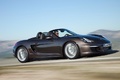 Porsche Boxster - marron - profil droit, dynamique