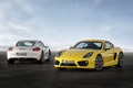 Porsche Cayman 981 + S