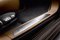 Porsche Panamera Platinum Edition - marron - détail, seuil de porte