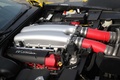 Alfa Romeo TZ3 Stradale jaune moteur