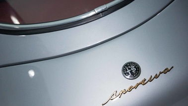 Museo Alfa Romeo - 2000 Sportiva gris logos coffre